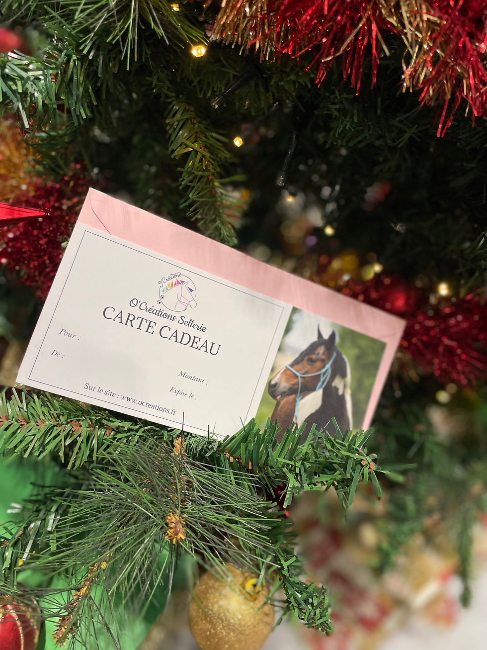 Miniature : CARTE CADEAU O'C