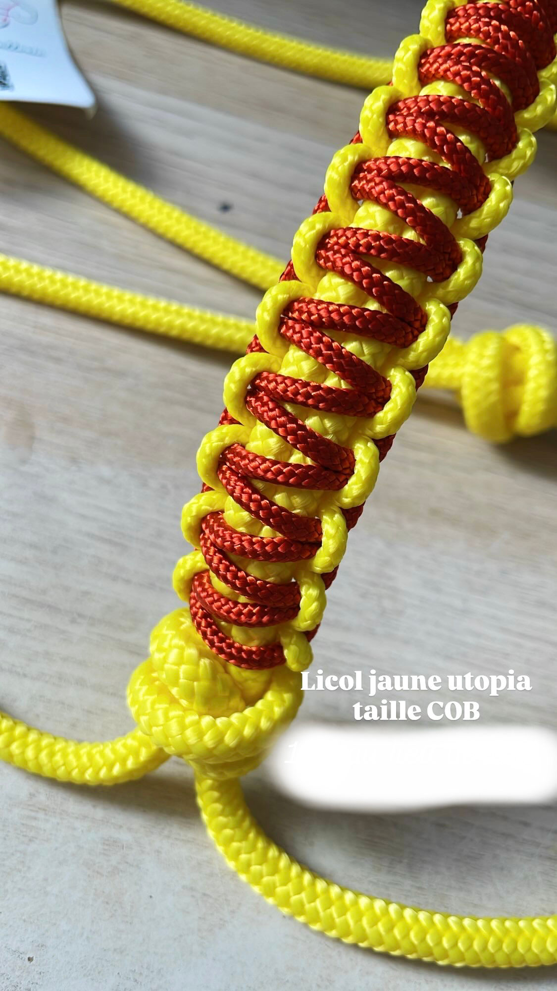 LICOL UTOPIA JAUNE - TAILLE COB