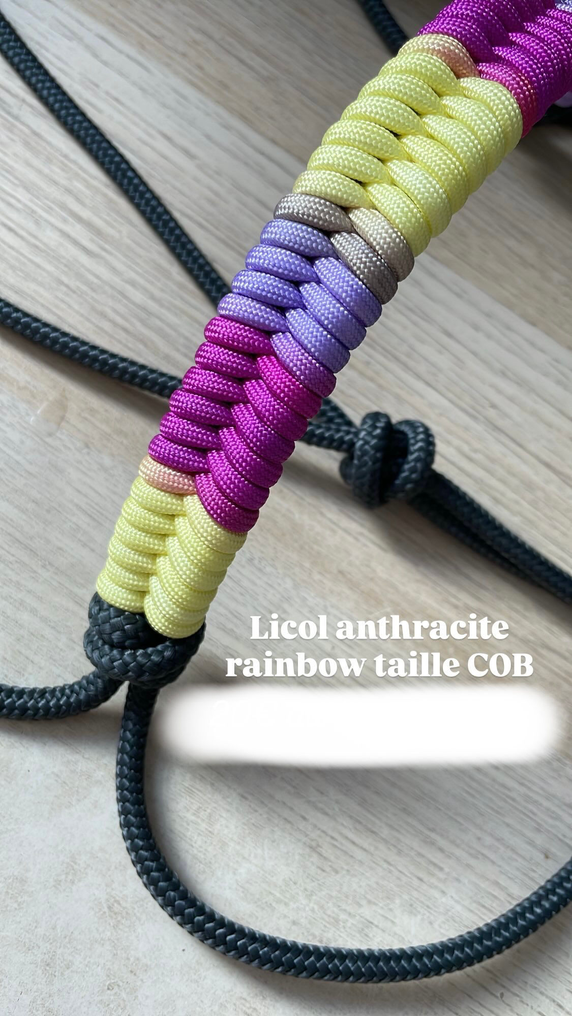 LICOL ANTHRACITE EDITION RAINBOW - TAILLE COB