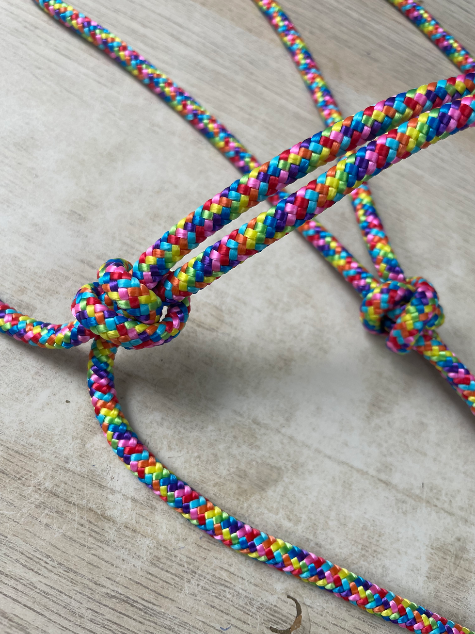 LICOL SIMPLE RAINBOW - TAILLE COB