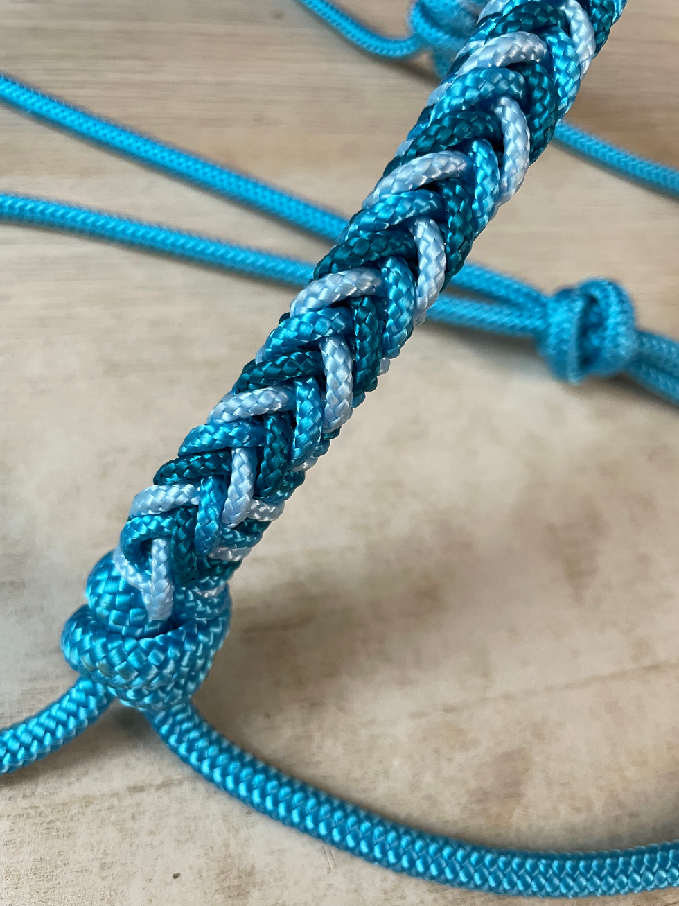 LICOL OCEAN CRISTAL - TAILLE CHEVAL