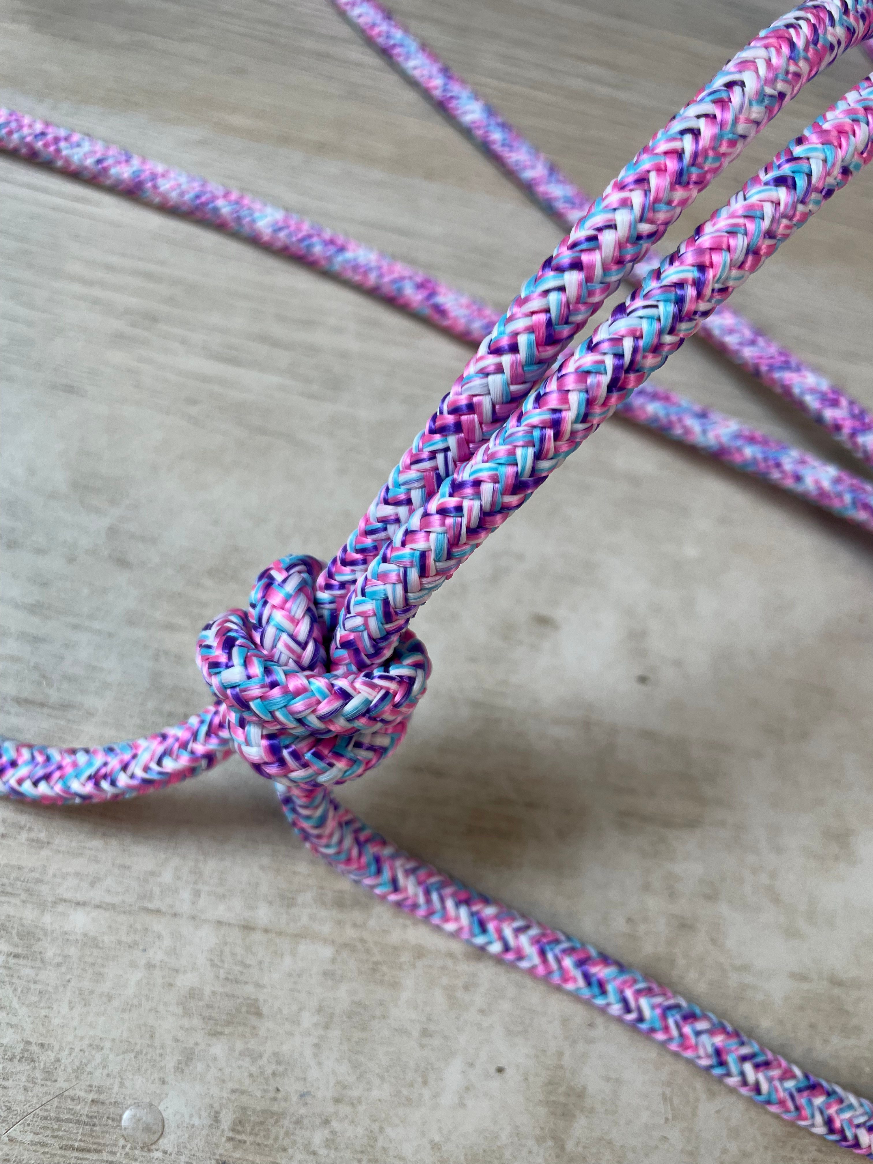 LICOL SIMPLE MULTI - TAILLE MINI/SHETLAND