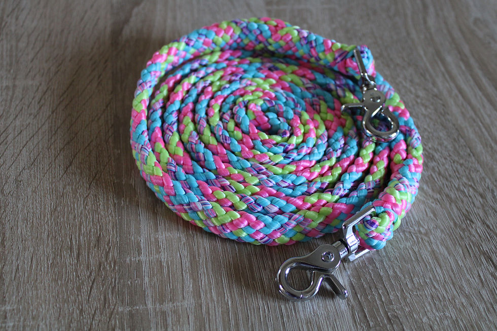 Miniature : RENES EN CORDE STANDARD