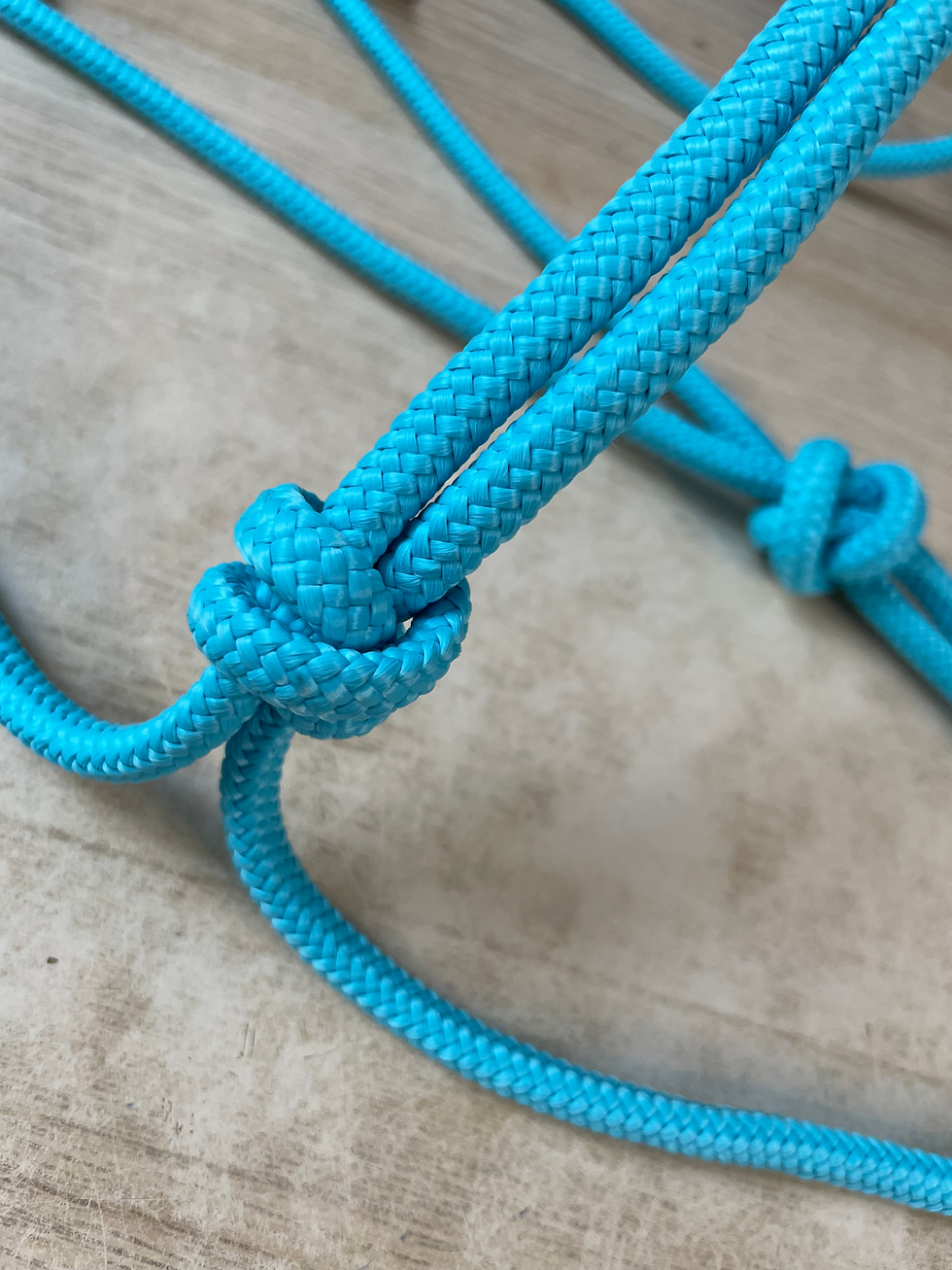 LICOL SIMPLE TURQUOISE - TAILLE CHEVAL