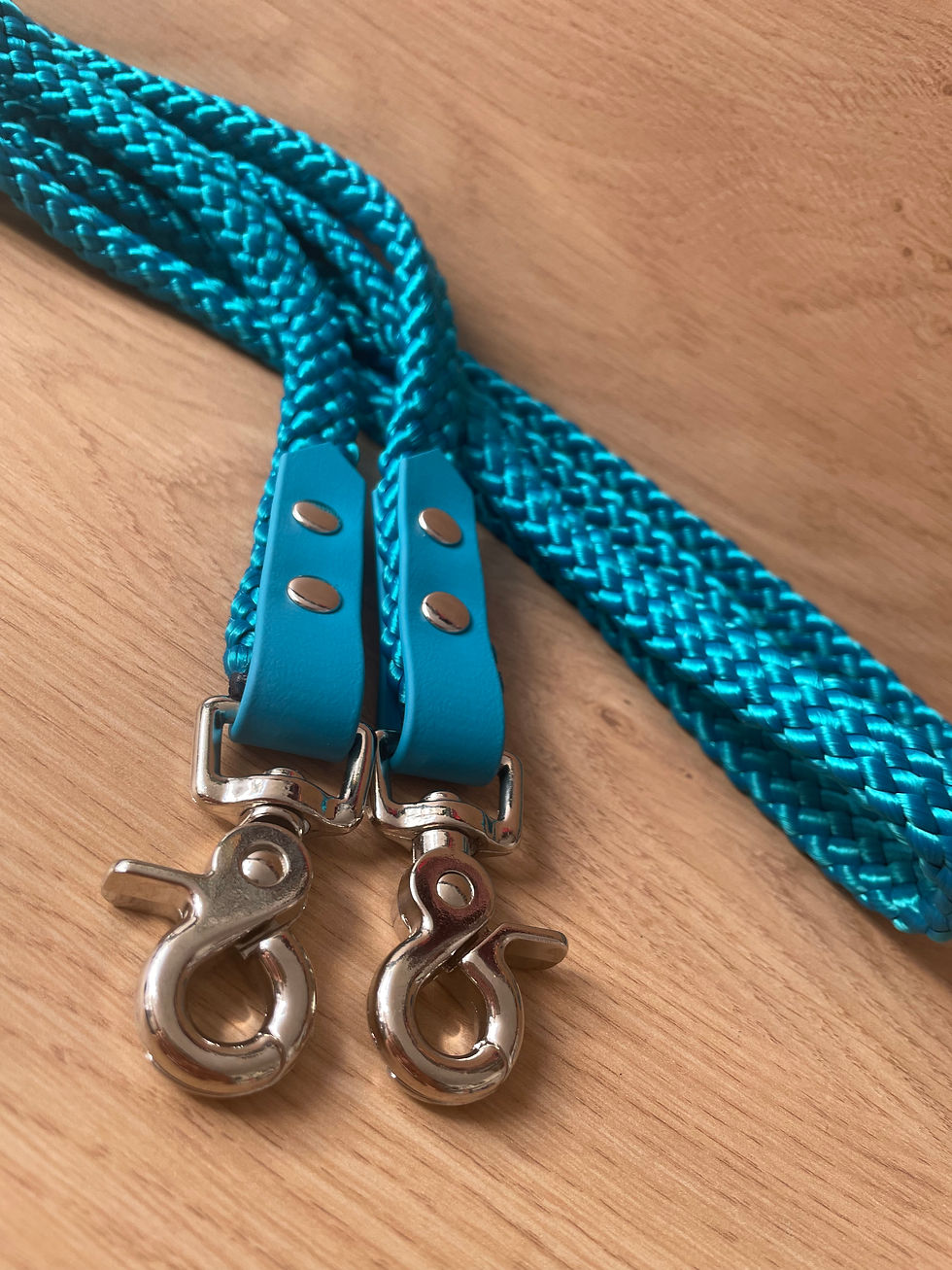 Miniature : RÊNES EN CORDE / BIOTHANE 2.50m - AQUA