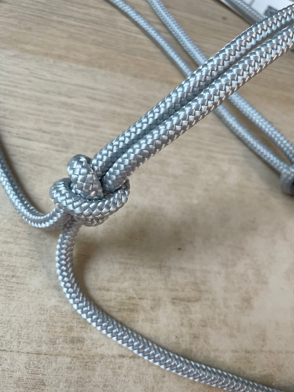 LICOL SIMPLE ARGENT - TAILLE CHEVAL