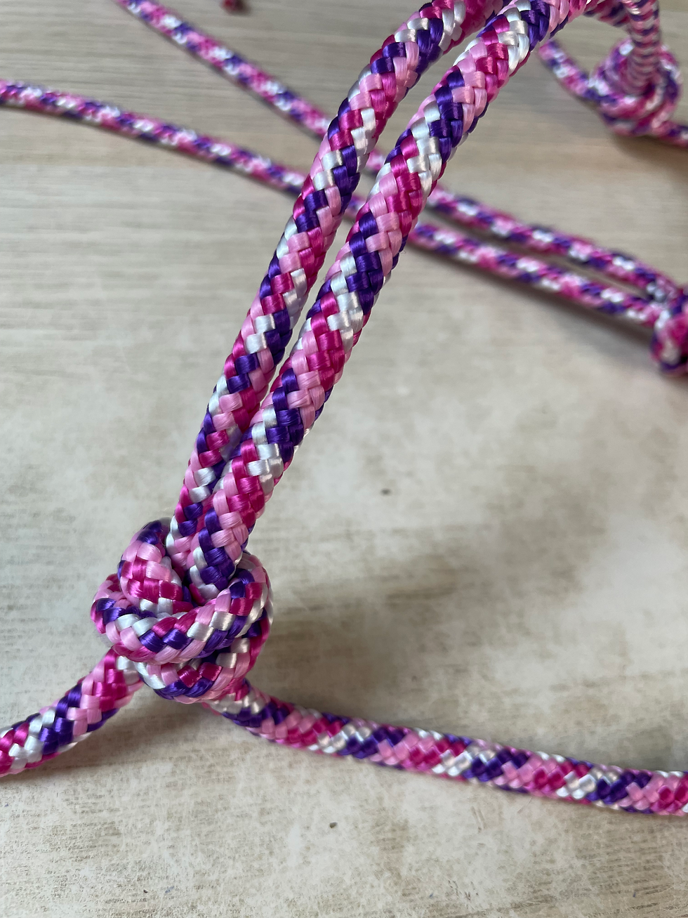 LICOL SIMPLE COUNTRY - TAILLE CHEVAL