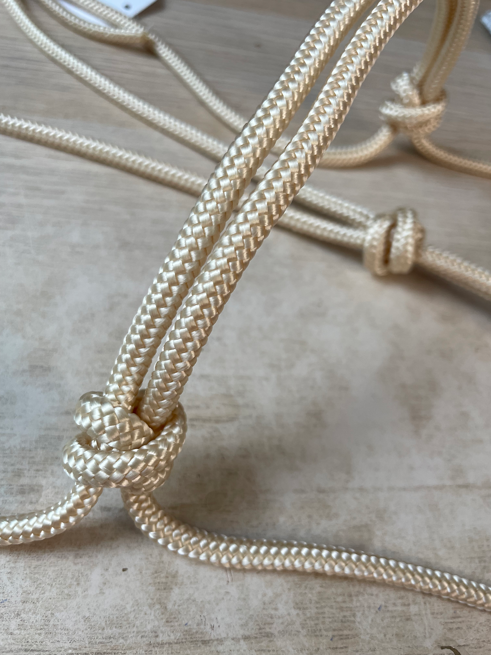 LICOL SIMPLE SHINNY - TAILLE CHEVAL