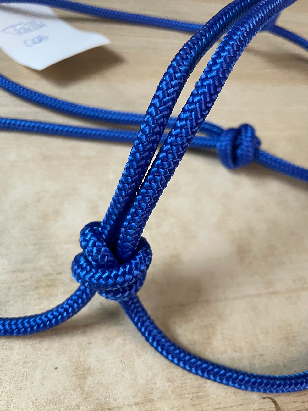 LICOL SIMPLE BLEU ELECTRIQUE - TAILLE COB