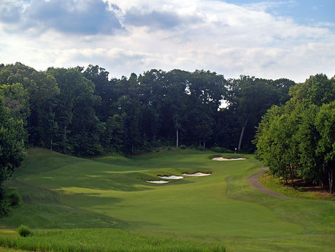 Arlington Blue 8 Tees After - FInal.jpg