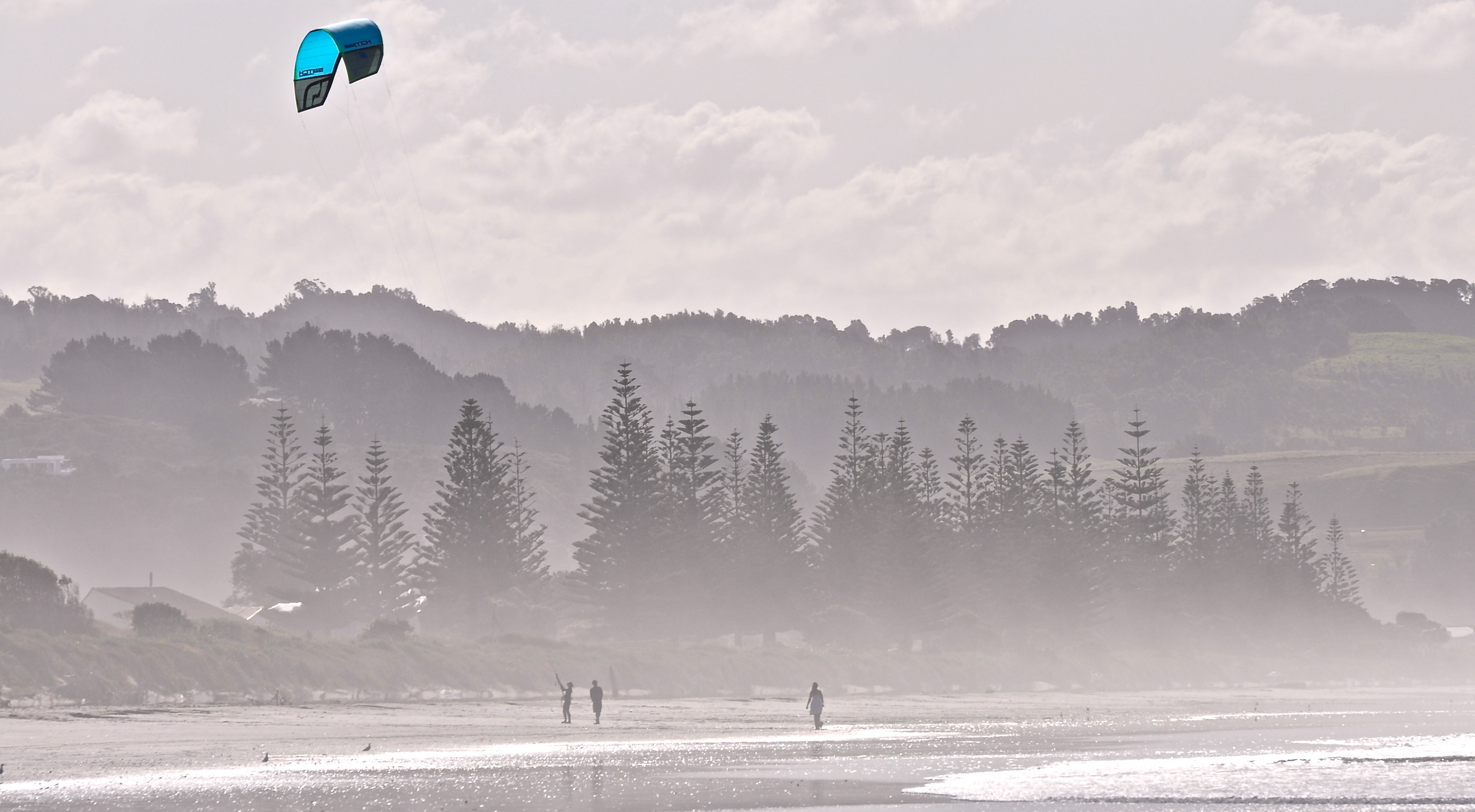 Bay of Plenty