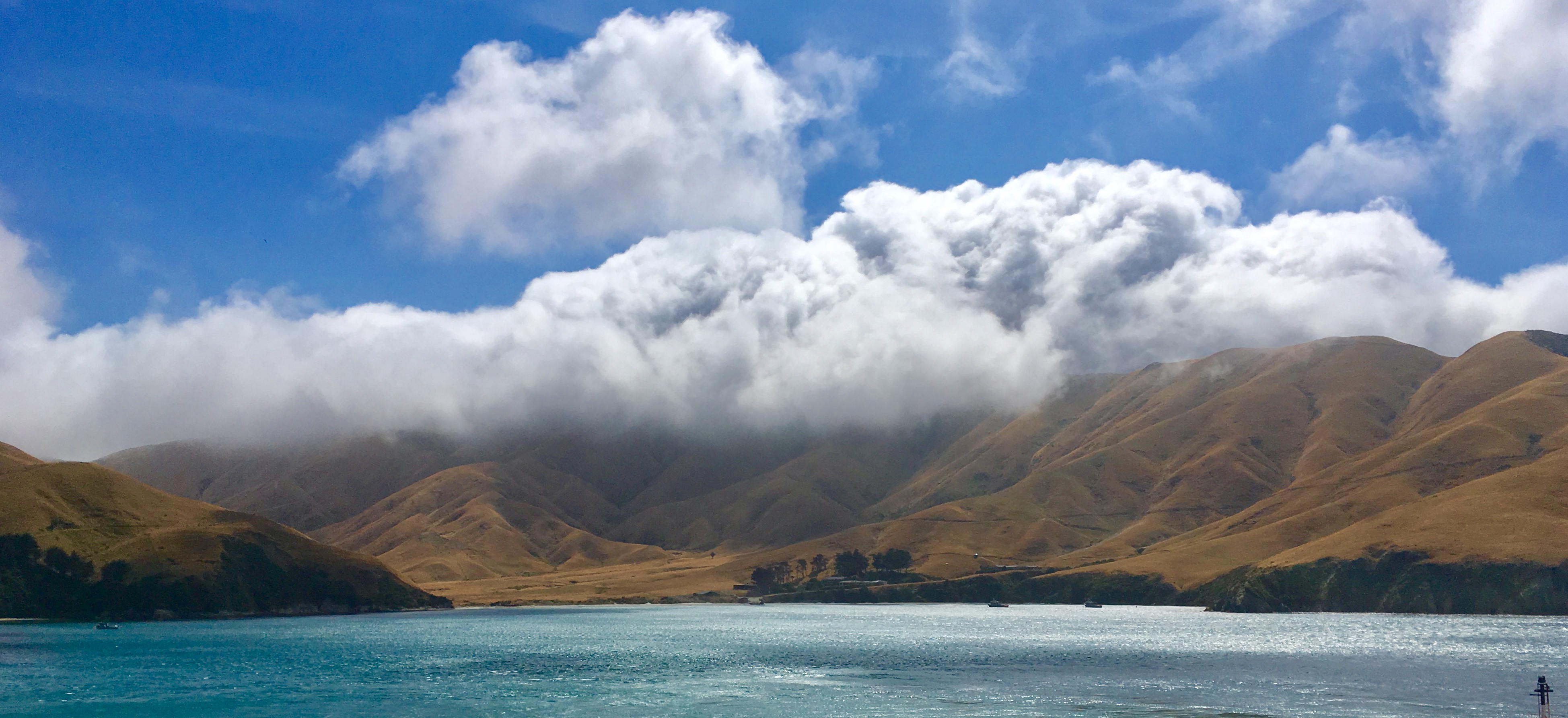 Marlborough Sounds (South Island)