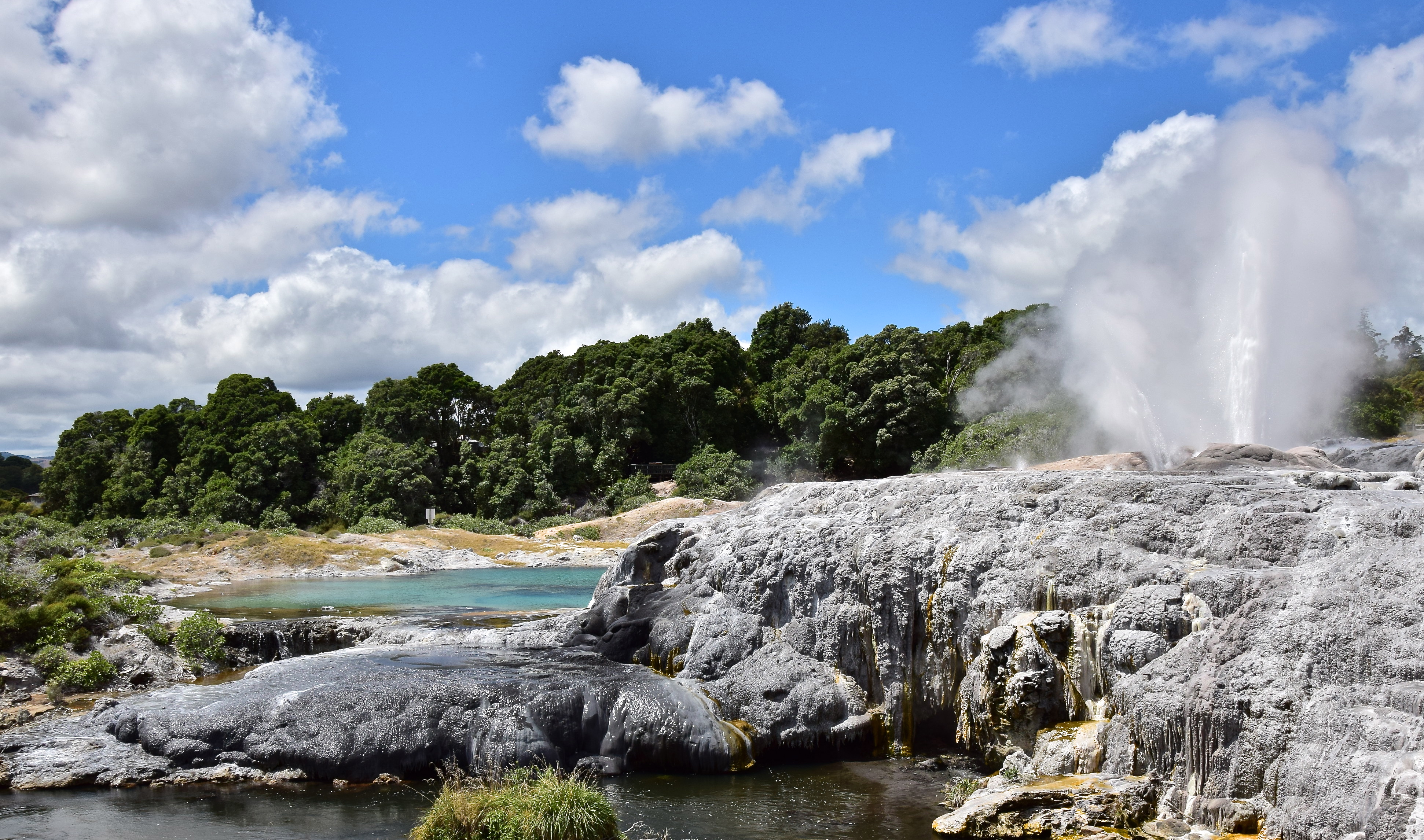Pōhutu geyser - Rotorua