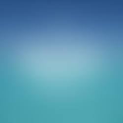 夏季休業のお知らせ