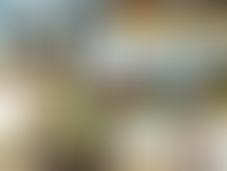 Embracing National Wellness Month