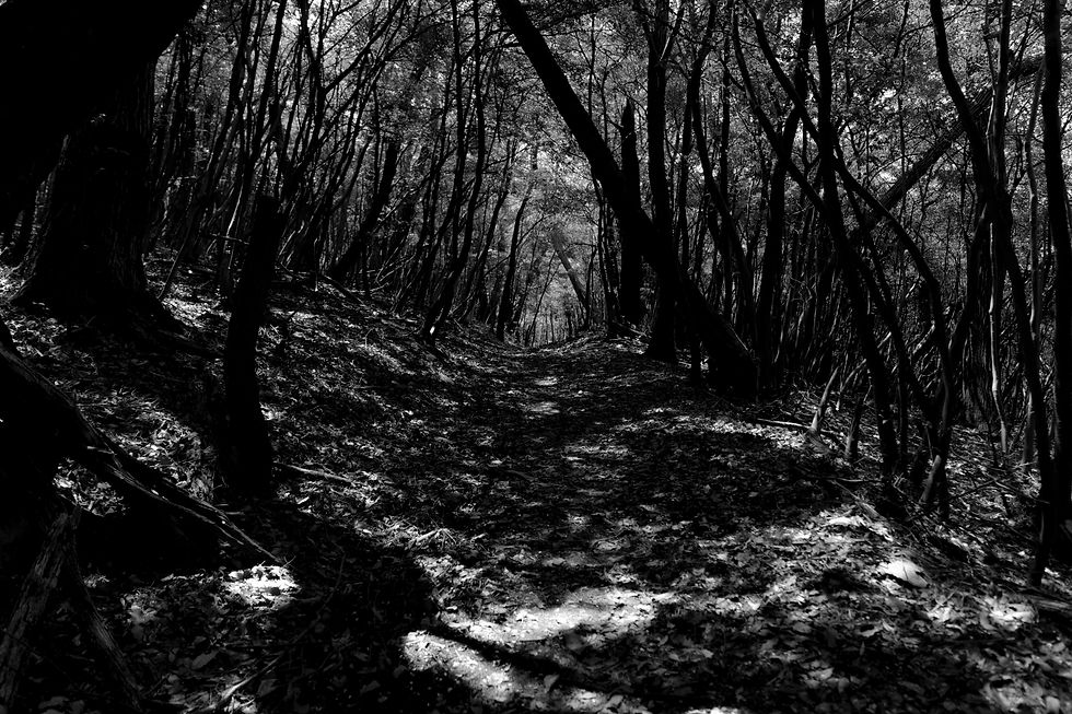 The Encounter with an “Unnecessary Road”