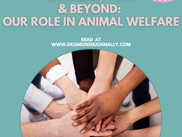 Owners, Vets & Beyond: Our Role In Animal Welfare