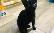 IMG_9791.JPEG