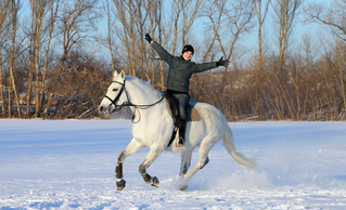 Reiten mit Leichtigkeit durch Yoga - Workshop für Reiter am 22.11.2015