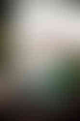 DSC01087.jpg