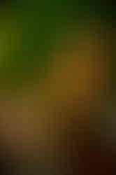 DSC04825.jpg