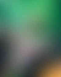 DSC02687