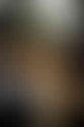 DSC05213.jpg