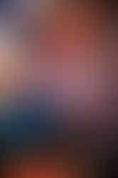 DSC01637.jpg