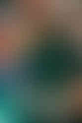 DSC03553.jpg