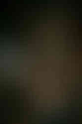 DSC04770.jpg