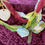 Thumbnail: Garland: "Sole Sitting, Dipping"