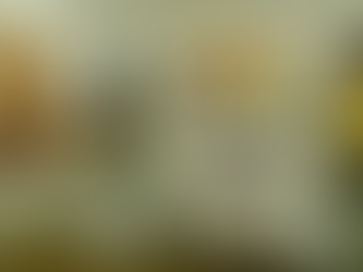 ESCUELA DE CATACIÓN DEL BPAM RECIBE SU PRIMERA CERTIFICACIÓN INTERNACIONAL