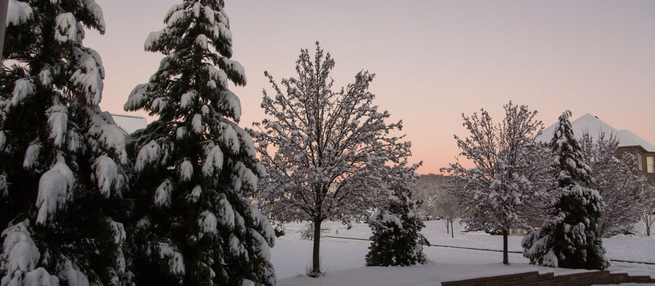 Crossword Puzzles, Biases, and Snow