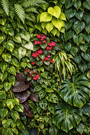 15 LISTADO PLANTAS 2.png
