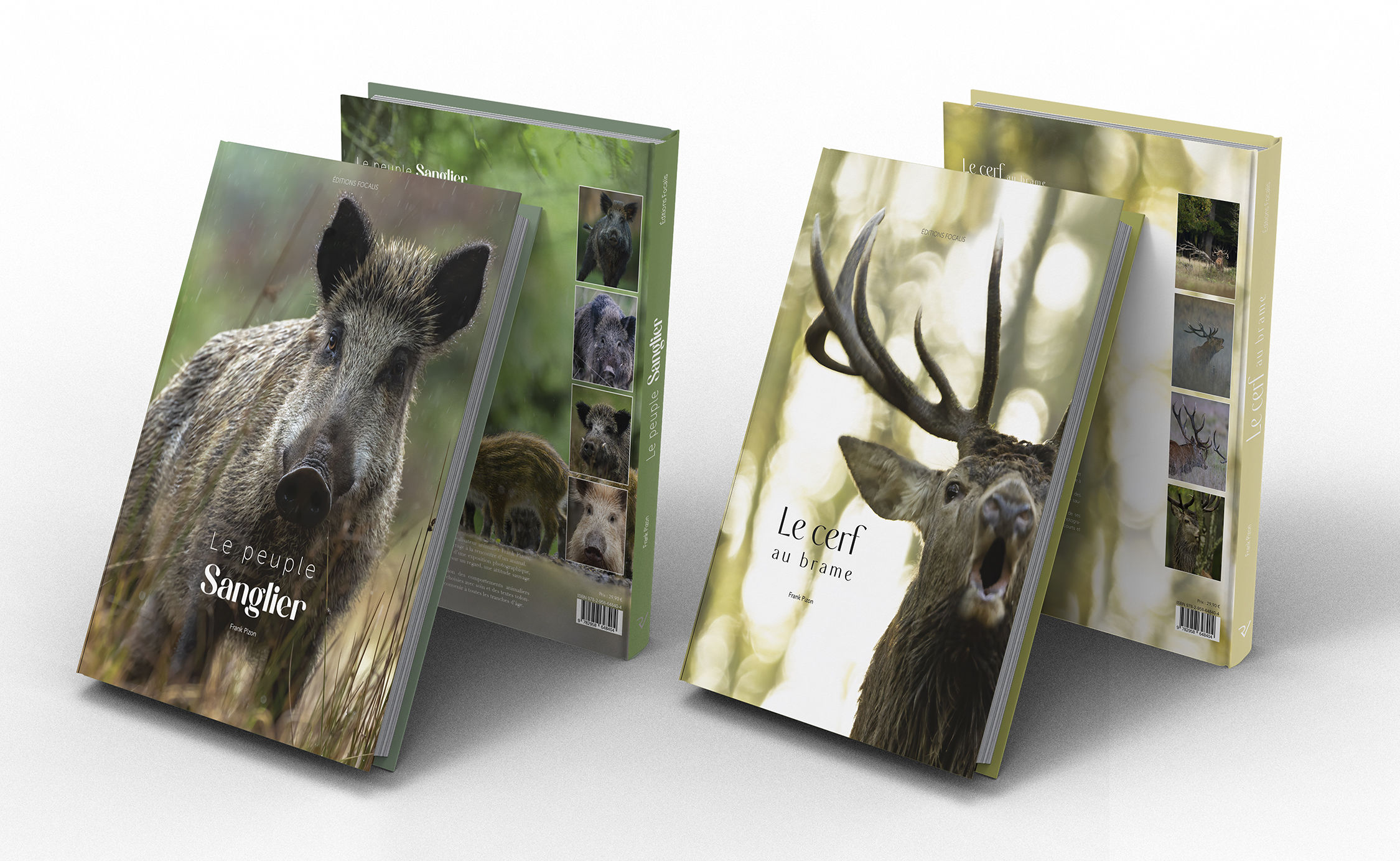 OPTION 4 "Sanglier + cerf"