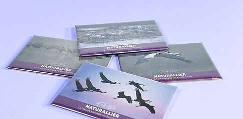 Magnets Naturallier, série "Grues-cendrées".