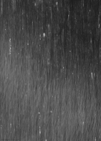 Friends, it's too wet.