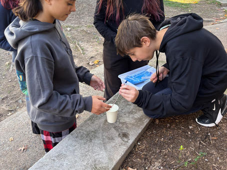 Flash Sci-Fi Writing, Space X Chemistry & Rocket Building (Session 2, Week 1)