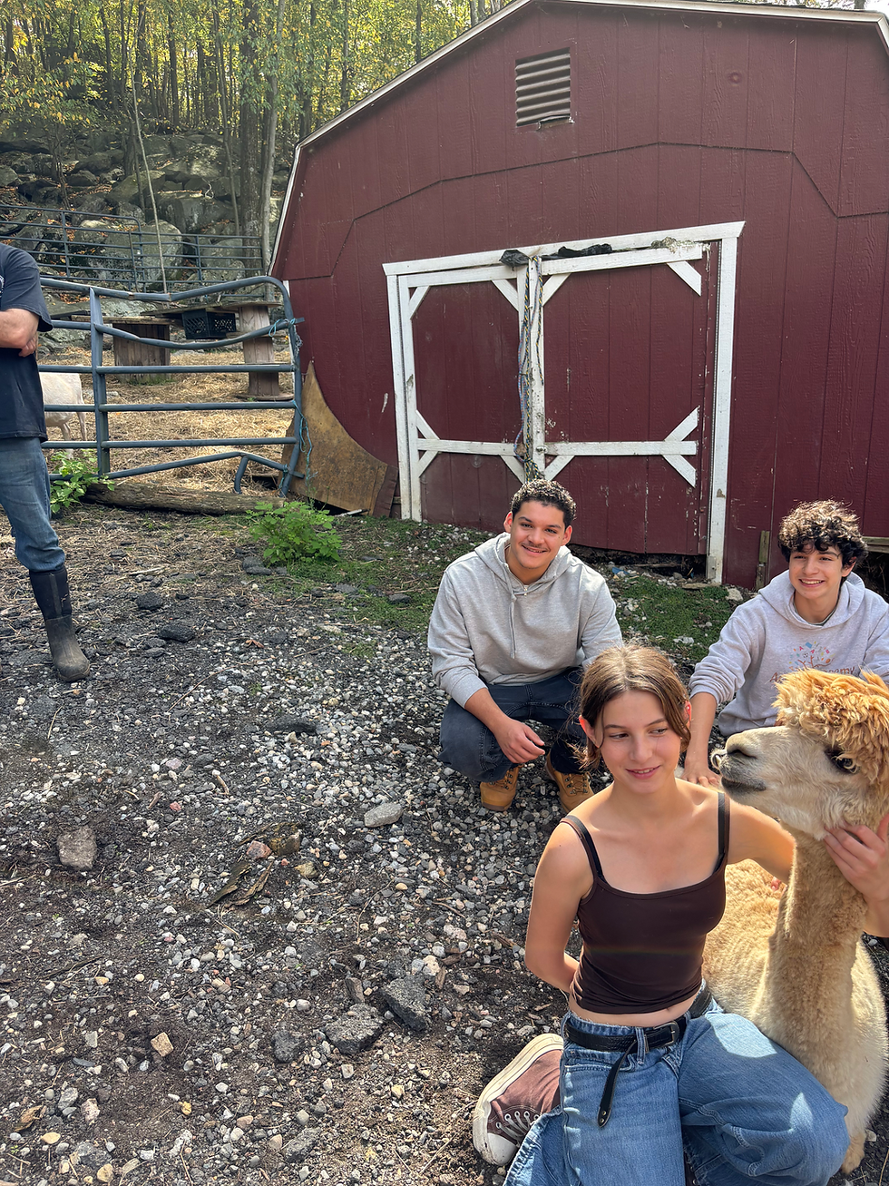 Launchpad Learners Explore Leadership, Debate Destiny, and Visit Tevaland Animal Sanctuary (Session 1, Week 4)