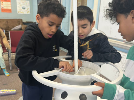 Discovery: Session 3, Week 3