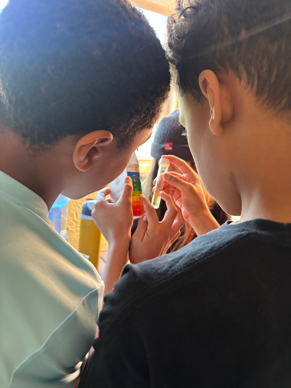 Entrepreneurship, Creativity & Collaborative Learning (Session 5, Week 4)