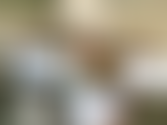 Culture Quest, Lip Dub Fun, and Alpine Adventures (Session 1, Week 3)