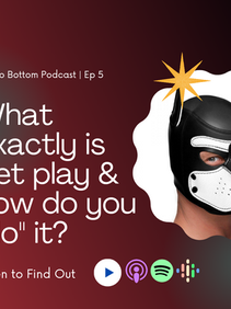 Top to Bottom Podcast - Episode #5 Pet Play 101