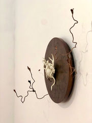 ceramic artwork by Indonesian artist Lie Fhung: ALIVE, 2024
