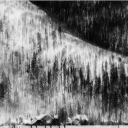 photography by Frances Tong, trees, nature, snow, mountain