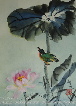 Lotus & Kingfisher