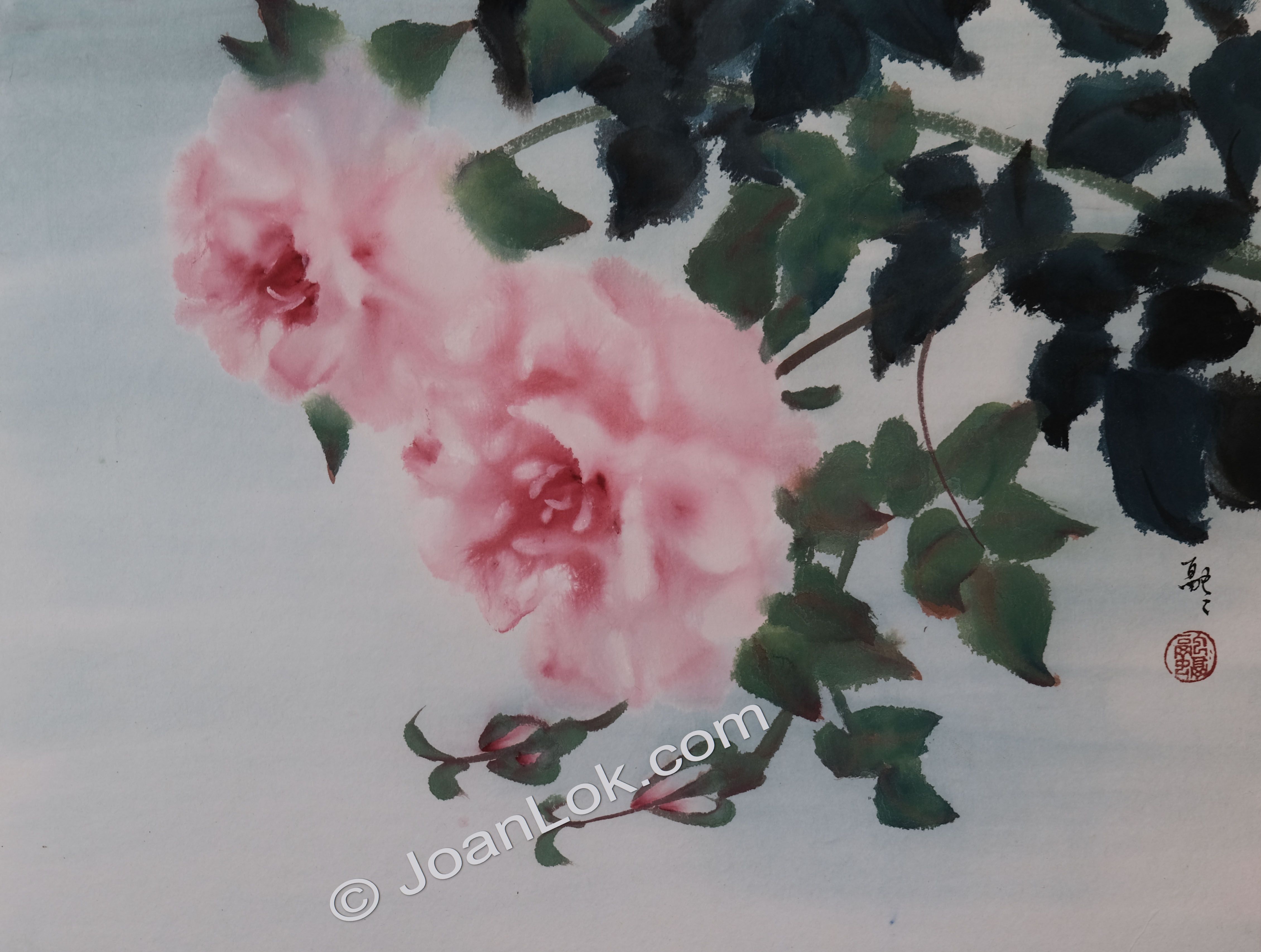 Pink Ladies (Roses)