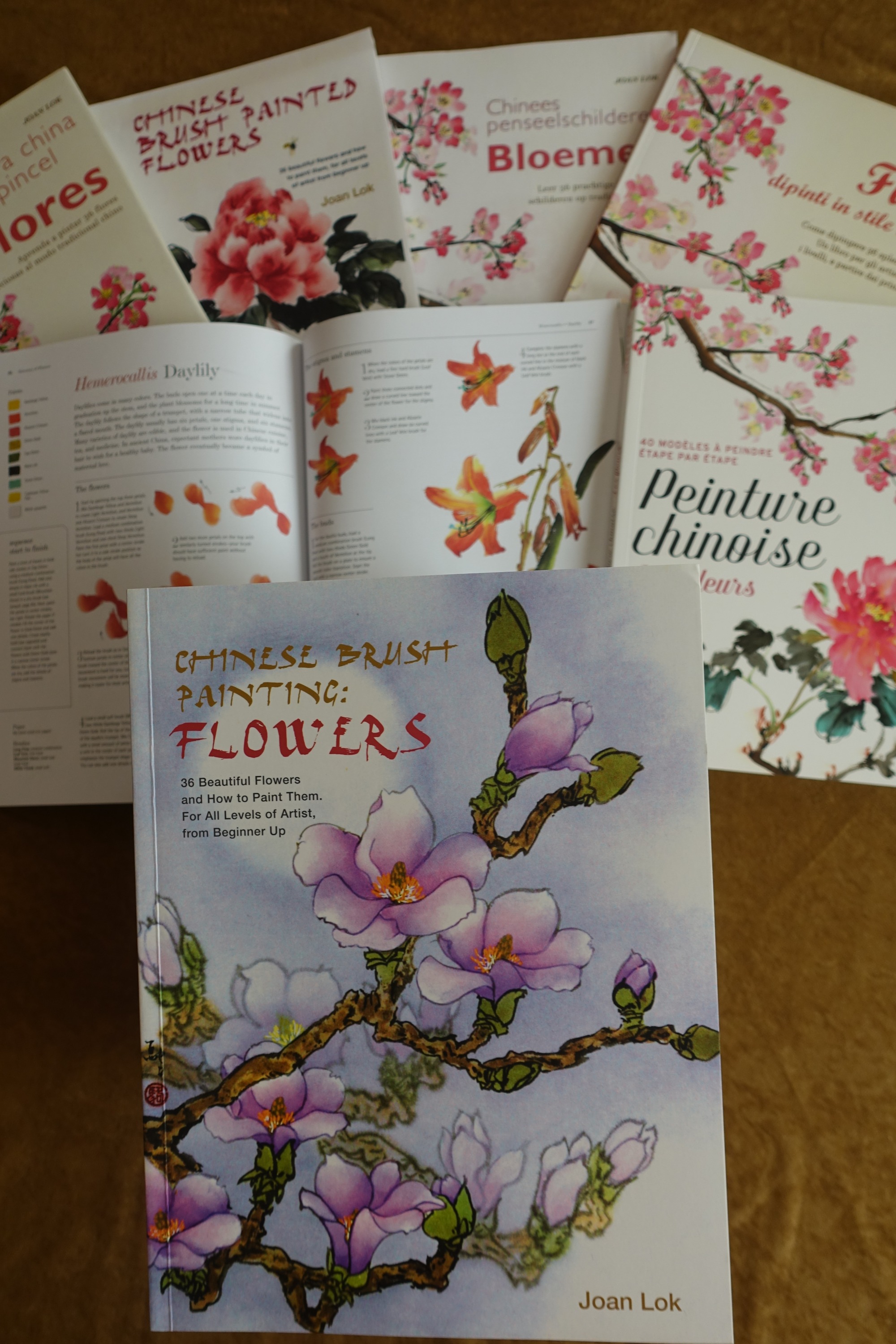 Two Art Books by Joan Lok