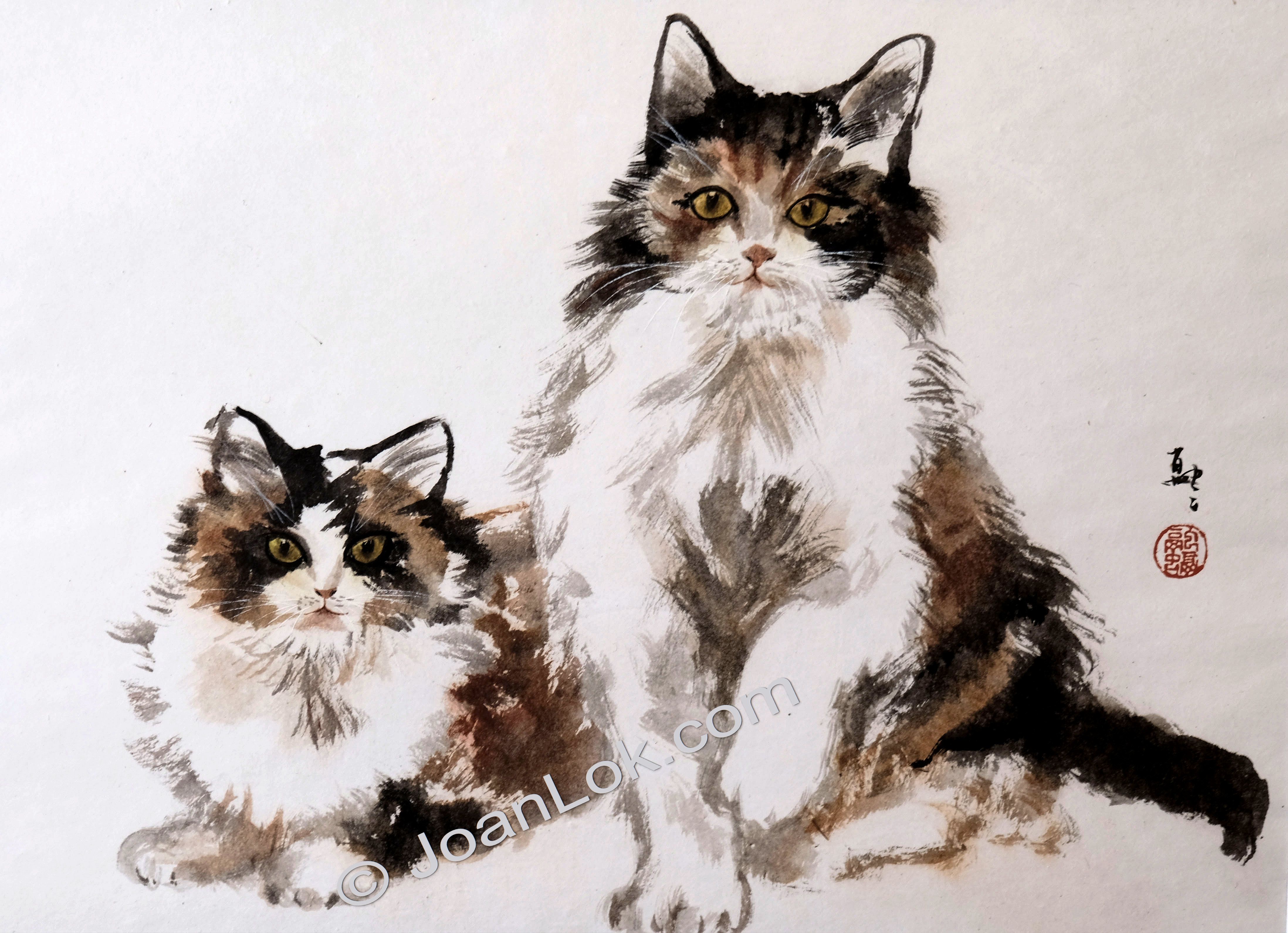 We are Lucky Cats