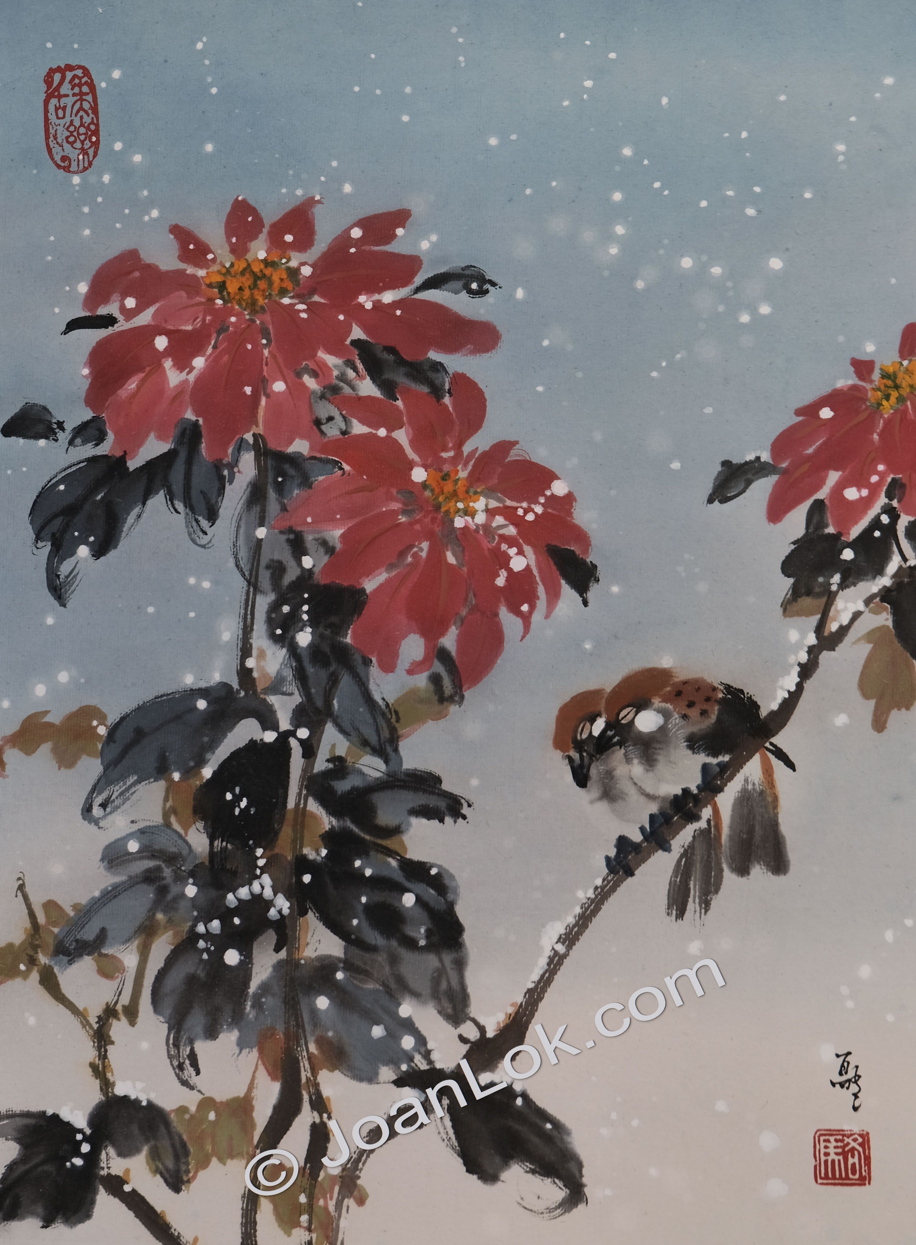 Poinsettia and Sparrows